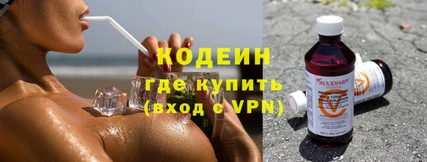 хмурый Алзамай