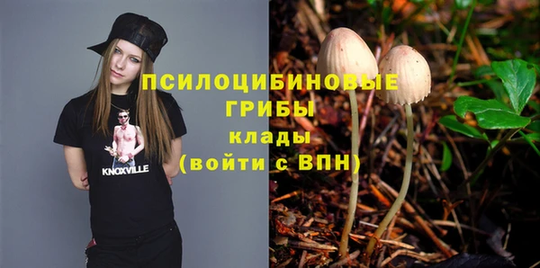 ECSTASY Алексеевка